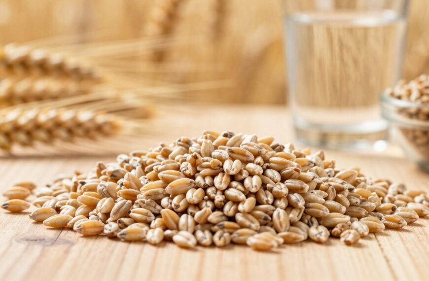 Czy jęczmień ma gluten
